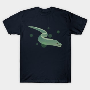 A Haze of Morays T-Shirt